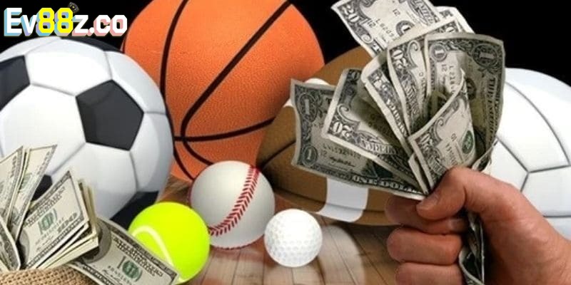 Cập nhật một số bộ môn giải trí hot nhất tại sảnh Sbo sports EV88