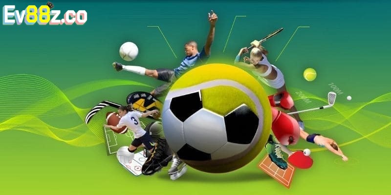 Giới thiệu vài nét căn bản về sảnh giải trí Sbo thể thao